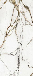 Xlight Paonazzo Biondo Polished 6mm 120x270