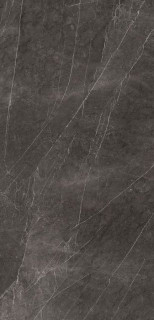 Xlight Premium Savage Dark Nature (6 мм) 120x250
