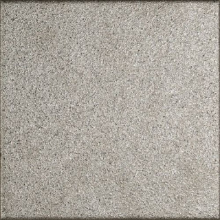 ZYX Gatsby Silver Pvd Bril 14,8x14,8