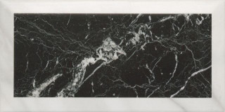 ZYX Metropolitain Museum Black 10x20
