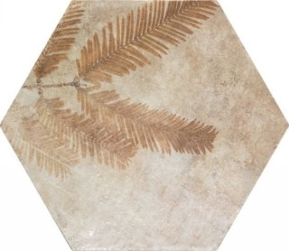 ZYX Amazonia Tropic Cotto 32x36,8