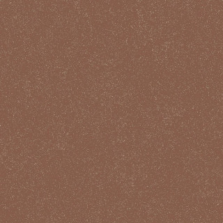 41Zero42 Cosmo Cotto 80x80