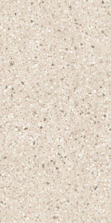 41zero42 Chicco Greige 60x120H0.9