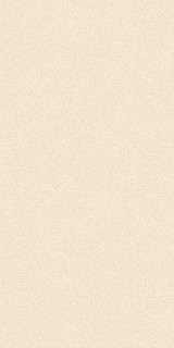 41zero42 Nok Grains Ivory 60x120