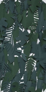 41zero42 Paper41 Midori 50x100