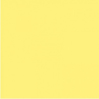 41zero42 Pixel41 Lemon Mat 11.5x11.5