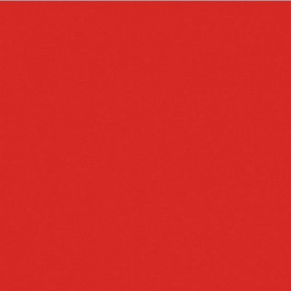 41zero42 Pixel41 Red Mat 11.5x11.5