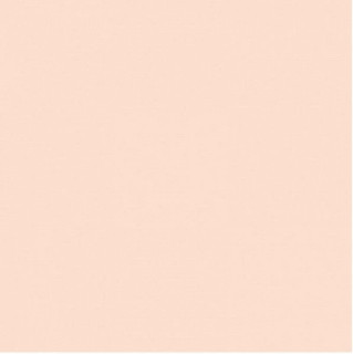 41zero42 Pixel41 Rose Mat 11.5x11.5