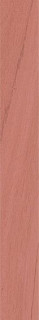41zero42 Technicolor Rose 5х37,5