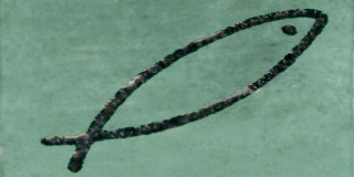 ABK Poetry Colors Dec. Swim Sage 7.5x15