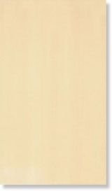 Splash BEIGE SABBIA 25х45