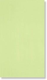 Splash VERDE PRATO 25х45