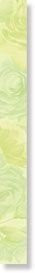 LIST. QUEEN ROSE VERDE PRATO 4,5х45