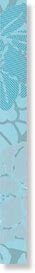 LIST.BOUQUET AZZURRO CIELO 4,5х45