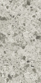 Ariostea Fragmenta Grigio Luminoso Soft 60x120