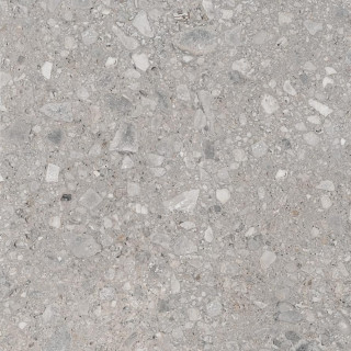 Ariana Futura Cenere R11 60x60H0.85