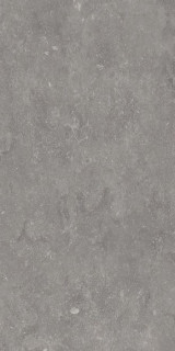 Ariana Memento Bruges Grey Nat R 60x120H0.85