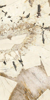 Ariostea Marmi Classici Patagonia Lappato 60x120