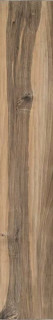 Ascot Natural Noce Europeo 25x150