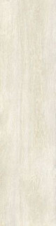 Ascot Steam Work Ivory 30х120