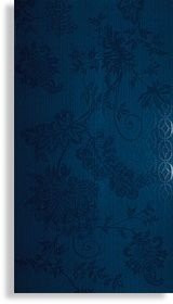 Atlas Concorde Adore Navy Wallpaper 30,5х56