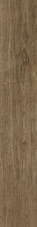 Atlas Concorde Arbor Cognac 15x90