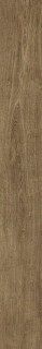Atlas Concorde Arbor Cognac Ret 7,5X60