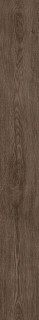 Atlas Concorde Arbor Tobacco Ret 7,5X60