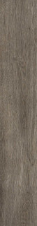 Atlas Concorde Arbor Grey Grip 15x90