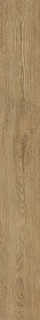 Atlas Concorde Arbor Natural Ret 18,5х150