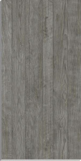 Atlas Concorde Axi Grey Timber 20Mm 45x90