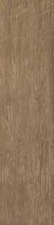 Atlas Concorde Axi Brown Chestnut Str 22,5x90