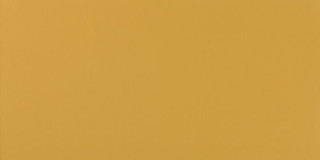 Atlas Concorde Arkshade Yellow 40x80