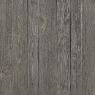 Atlas Concorde Axi Grey Timber 60 20Mm 60x60
