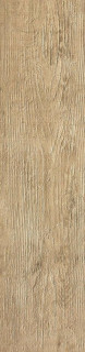 Atlas Concorde Axi Golden Oak Str 22,5x90