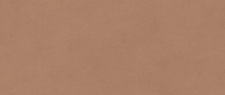 Atlas Concorde Boost Expression Sienna Matt 50x120