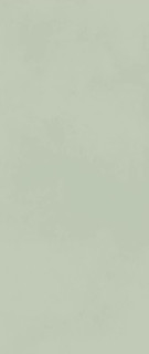 Atlas Concorde Boost Color Mint 50x120