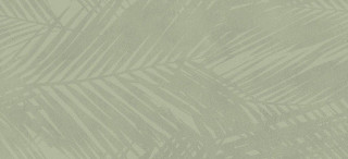 Atlas Concorde Boost Expression Life Olive Matt 50x120