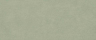 Atlas Concorde Boost Expression Olive Matt 50x120