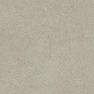 Atlas Concorde Boost Natural Pro Dove Matte 9mm 60x60