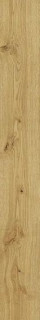 Atlas Concorde Exence Almond 18,5х150