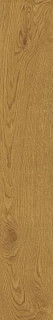 Atlas Concorde Exence Amber 20х120
