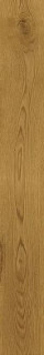 Atlas Concorde Exence Amber 18,5х150