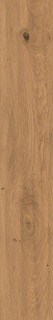 Atlas Concorde Log Amber Oak Matte Sensitech 20x120
