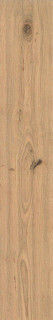 Atlas Concorde Log Icon Oak Matte Sensitech 20x120