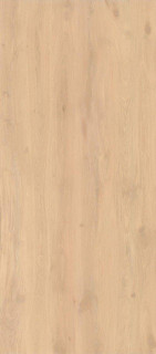 Atlas Concorde Log Bright Oak Matte 6mm 120x278