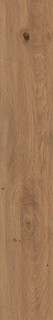 Atlas Concorde Log Deep Oak Matte Sensitech 20x120