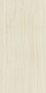 Atlas Concorde Marvel Epic Onyx Ivory Polished 60x120H0.9