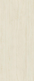 Atlas Concorde Marvel Epic Onyx Ivory Polished 120x278H0.6