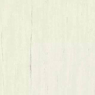 Atlas Concorde Marvel Stone Bianco Dolomite 120x120